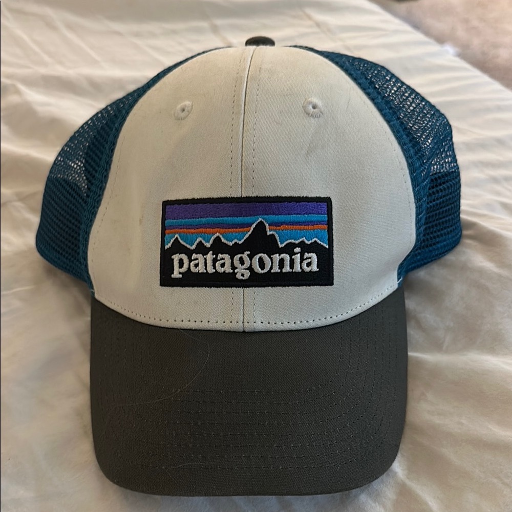 Patagonia Mesh Cap in Blue and White